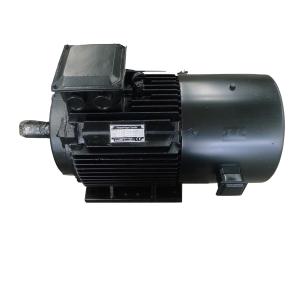 China IP54 IP55 IP68 Three Phase Permanent Magnet Motor High Torque Low Noise wholesale