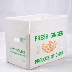 China Custom Asparagus PP Corrugated Box Correx Corrugated Plastic Delivery Box wholesale