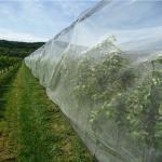 HDPE UV Resistant Netting Anti Hail for Agriculture and Gardenning