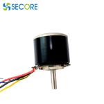 Massage Gun Outer Rotor Brushless DC Massager Motor 12 Volt 50W