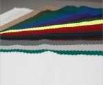 21 X 16+70D 210GSM Dyed Printed Cotton Fabric