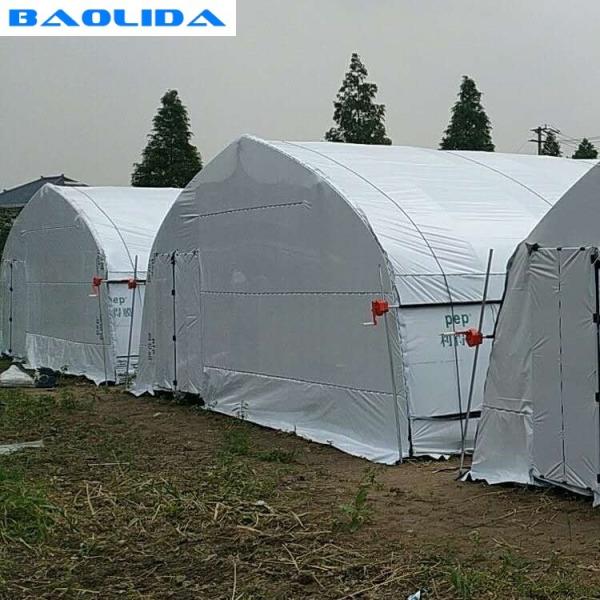 Tunnel Polyethylene Foil Greenhouse For Mushroom Low Transmission Black And