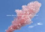 DIY Projects Preserved Fresh Flowers Pampas Dried Decor OEM ODM