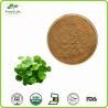 Buy cheap Bulk Supply Centella P.E powder Gotu Kola Extract Asiaticosides from wholesalers