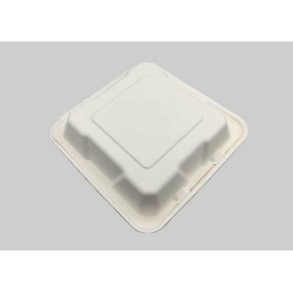 Square Midsize 9"×9" Biodegradable Hot Food Containers