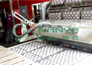 China Recycle Paper Fruit Tray Strawberry Tray Egg Tray Making Machine wholesale