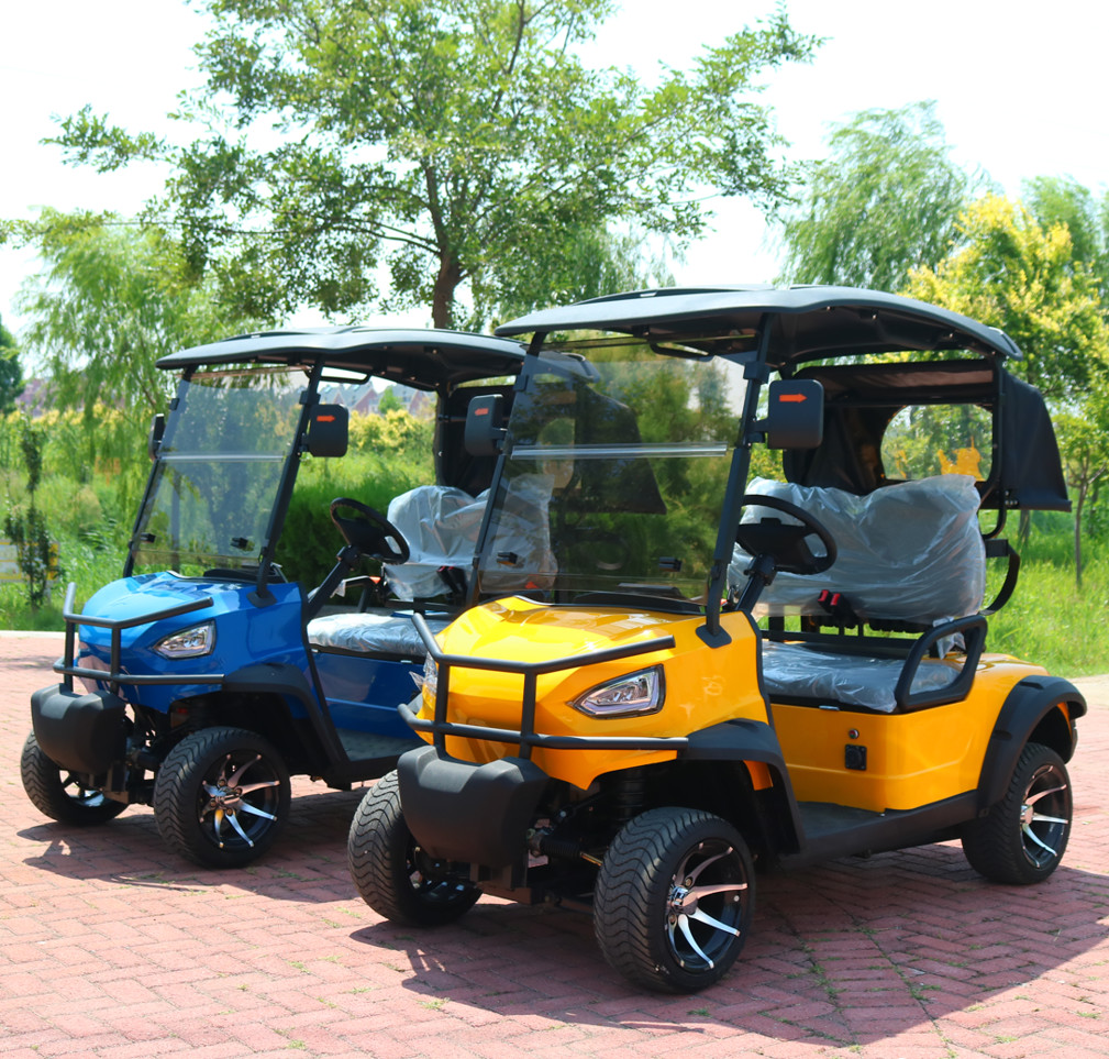 Luxury Fashion Electric Golf Cart 4-Wheel 4-Seater Lifted Golf Cart