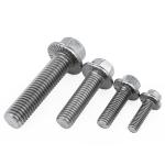 M4 M8 M12 Stainless Steel Hexagon Head Flange Metal Bolt SUS304 SUS316 A2-70 A4