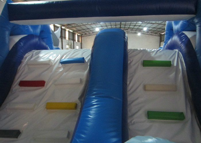 Lovely Dolphin Long Blow Up Slippery Slide , Children Little Tikes Inflatable Water Slide
