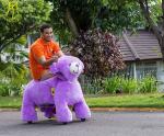 Hansel coin operated plush stuffed animal ride amusement ride for kids