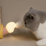 Factory Cute Sleeping Control CAT PAW USB Bedroom Lamps Silicone Lamp Rechargeab