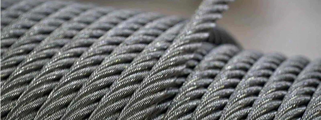 Grade Stainless Steel 304 316 6X19 PP 15mm Steel Wire Rope with Organic Core GOST 2688-80