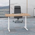 Adjustable Petite Ergonomic French Two Motor Standing Desk for Kids Mail Packing