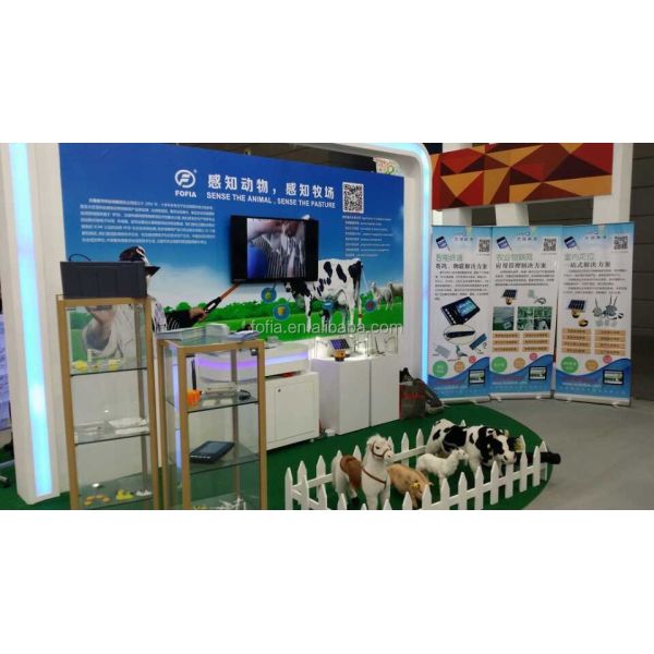 Electronic Custom Ear Tag for Cattle RFID Technology FDX-B Type Plastic & TPU Material Model ET907