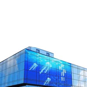 China LED Screen Film Transparent Flexible Curved Video Wall Commercial Ads Led Ad Displays Stick on Glass Window Indoor Advertising wholesale