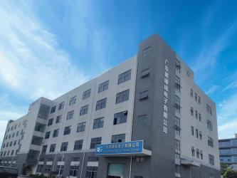 DQS Electronic Co., Limited
