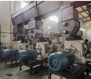 China 4MM 5MM 1TH Sawdust Pellet Press Machine 1TH Wood Pellet Processing Plant wholesale