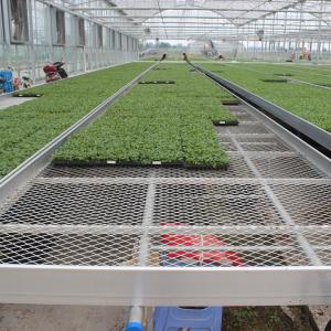 China Heavy Duty Ventilated Wire Mesh Commercial Greenhouses Tables for Plant Seedling Raising wholesale