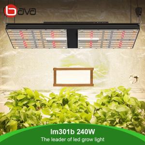 China 240W LM301B Quantum Board wholesale