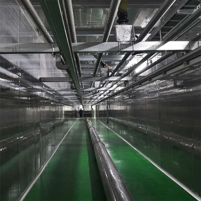 Automatic Drying Room Noodle Plant Machinery 304SS Stick Noodles Manufacturing