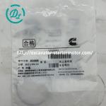 Solenoid Valve Sealing Ring 129888X 129888 Engine QSM11 NT855 M11