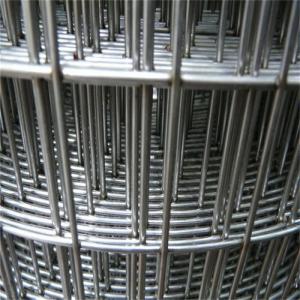 China Customizable 4ftx50ft Galvanized Welded Wire Mesh Chicken Bird Cage Wire Mesh on sale