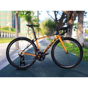 China Carbon Roadbike Lightweight Disc Brake Bicycle 8.5 kg without pedals with Carbon Frame on sale
