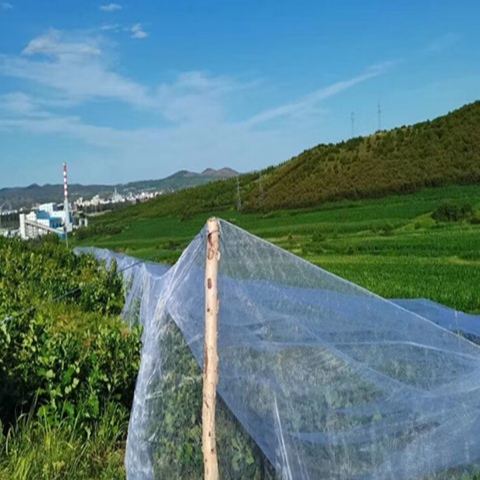 Wholesale Garden Netting Multiple Mesh Weather Resistant Net For Fruit Tree Planting