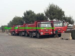 China 336hp 18m3 Heavy Duty Dump Truck 10 Pcs Triange Brand Tire wholesale