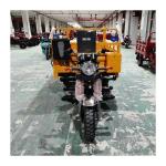 250cc Water-Cooled Jinqing EFI Engine Dump 3 Wheel Motorcycle Tricycle for Farm