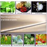 Bright Indoor Led Grow Light T8 18w Full Spectrum Led Grow Light 5 Years