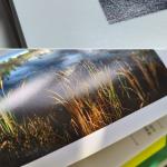 Premium 230gsm Waterproof Luster Satin Digital Press Paper For HP Indigo 20000