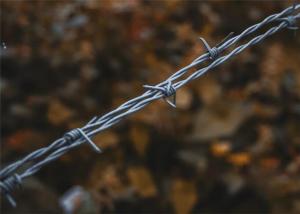 China Yard Protection Galvanized Steel Barbed Wire 15mm 14*16 Gauge wholesale