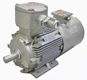 China Exd II BT4 Gb Explosion Proof Electric Motor YBBP 132S1-2 5.5kW 11A wholesale