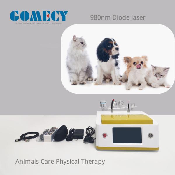 980nm Diode Laser Device for Animal Care and Veterinary Physical Therapy Vet