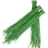 Buy cheap Dried carod from wholesalers