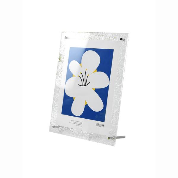 OEM Transparent Small Picture Frames Double Sided 30.5x30.5cm Plastic Photo