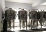 700L 7BBL Craft Beer Equipment Stainless Steel Material With Fermentation Tank