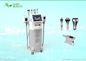 China Fat reduction cryolipolysis slimming machine with 5 treatment handles wholesale