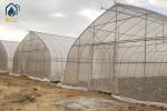 Commercial Large Agricultural Greenhouse UV Film Vegetable Hydroponic Greenhouse