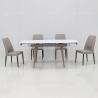 Buy cheap Modern Home 1.1CBM SS Steel Furniture 4 Seater Extendable Dining Table Set from wholesalers