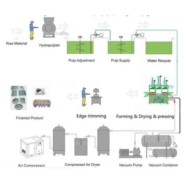 automatic disposable Biodegradable sugarcane paper pulp food box making machine
