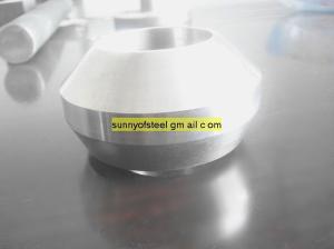 China duplex stainless ASTM A182 F58 sockolet wholesale