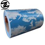 Prepainted Galvanized Steel Coil Ral9016 Ral9003 Ral9010 Full Hard for