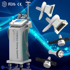 China Fat Freeze vacuum cavitation cryolipolysis Slimming Machine/ equipment for body slimming wholesale