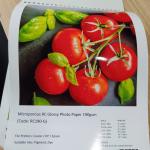 Factory RC 190GSM Glossy Photo Paper For Inkjet Printing