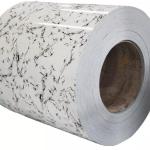 ASTM Galvanized Steel Sheet In Coils Zinc Coated Hot Dipped PPGI 0.2mm