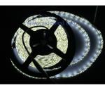 30leds Epistar chip SMD5050 LED strip cool white, drip PU glue