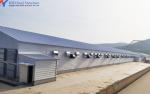 Prefab Steel Structure Chicken Building Shed Broiler Fatten Poultry Farm House