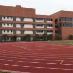 Customize Synthetic Athletic Track Epdm Rubber Running Track Anti UV Labosport
